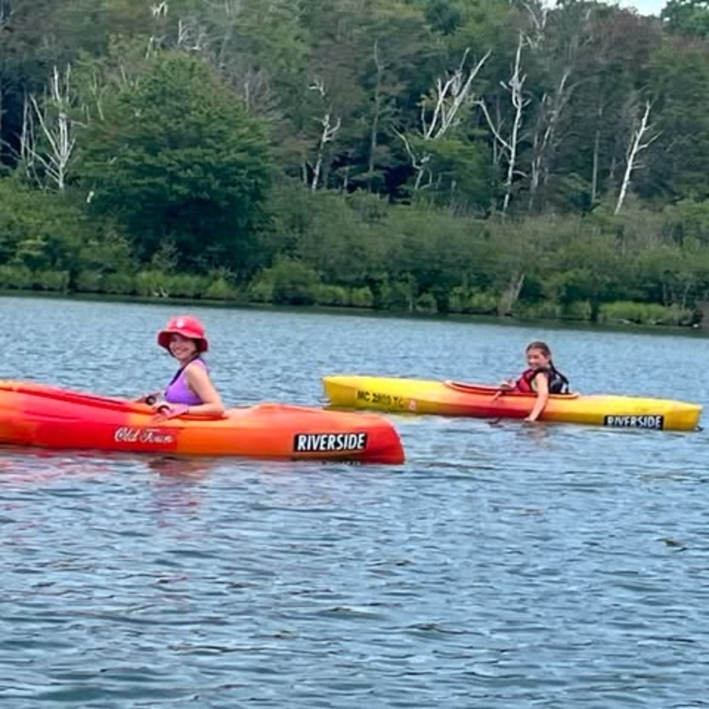 Meet your Posher, Rose